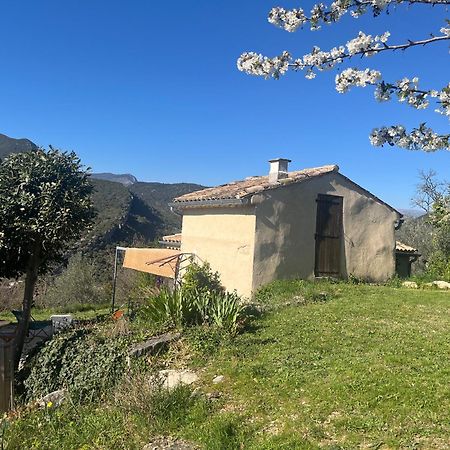 Villa Cabanon entouré de montagnes et d'oliviers Nyons Esterno foto