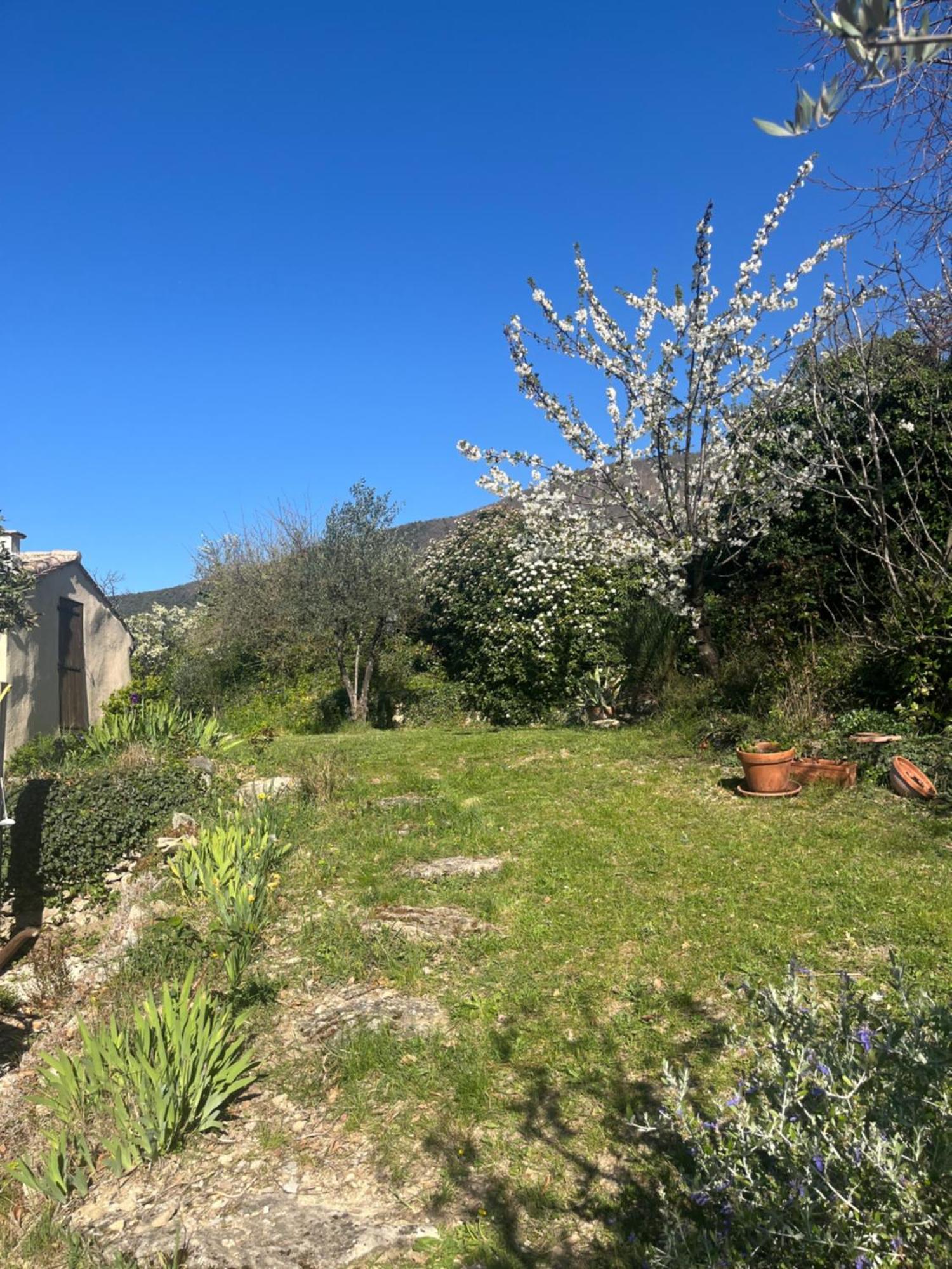 Villa Cabanon entouré de montagnes et d'oliviers Nyons Esterno foto