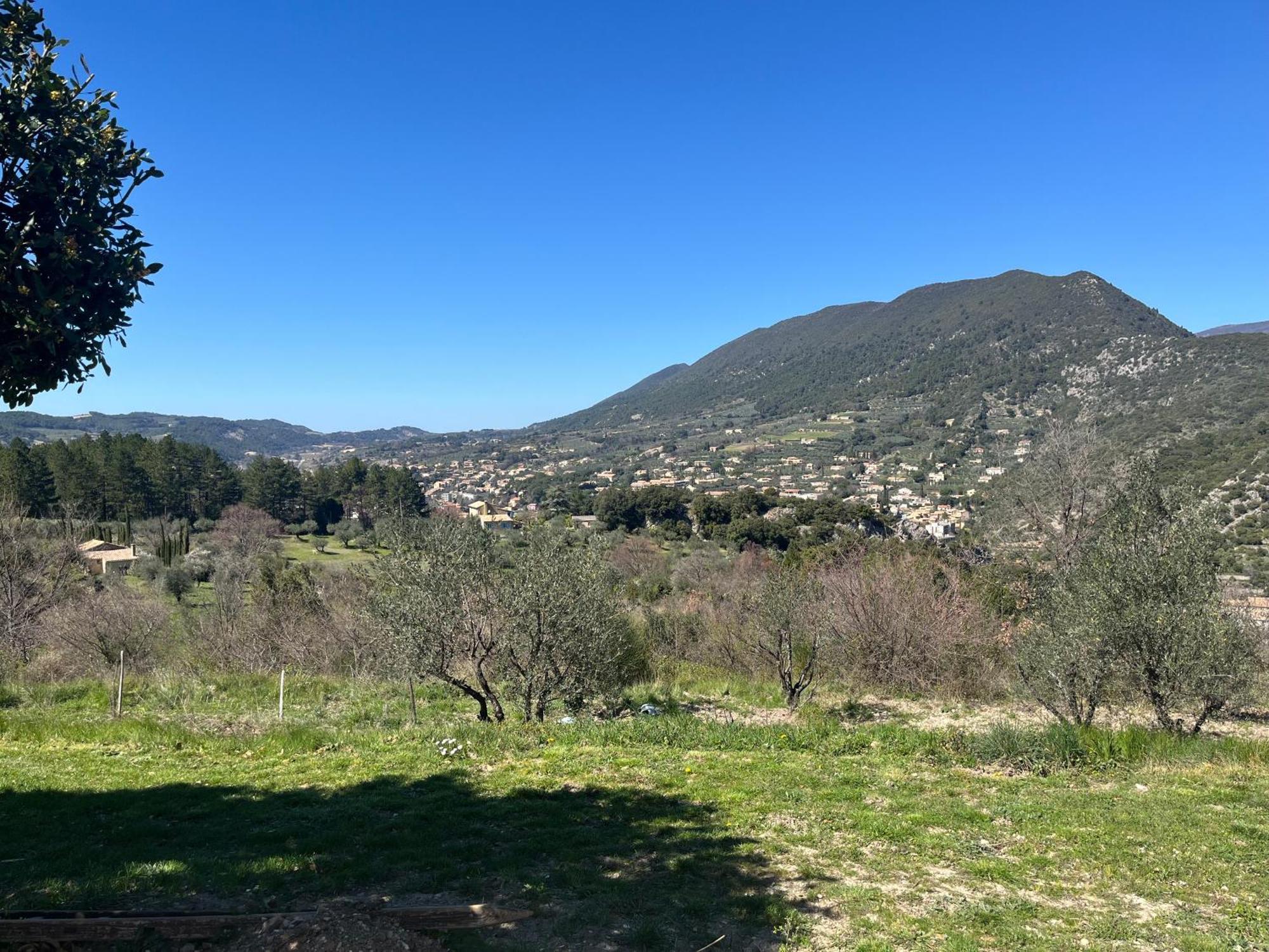Villa Cabanon entouré de montagnes et d'oliviers Nyons Esterno foto
